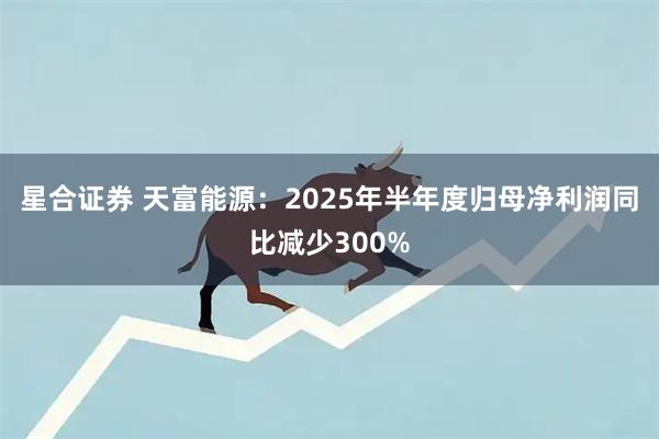 星合证券 天富能源：2025年半年度归母净利润同比减少300%