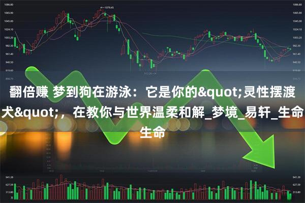 翻倍赚 梦到狗在游泳：它是你的"灵性摆渡犬"，在教你与世界温柔和解_梦境_易轩_生命