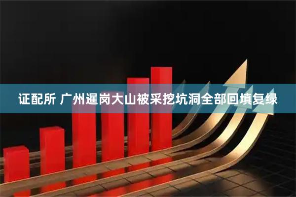 证配所 广州暹岗大山被采挖坑洞全部回填复绿
