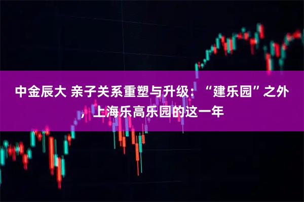 中金辰大 亲子关系重塑与升级：“建乐园”之外，上海乐高乐园的这一年